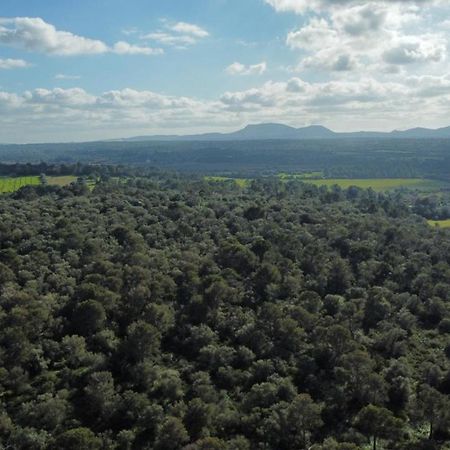 Magnifica Villa Tranquila En El Centro De Mallorca Biniali  Dış mekan fotoğraf