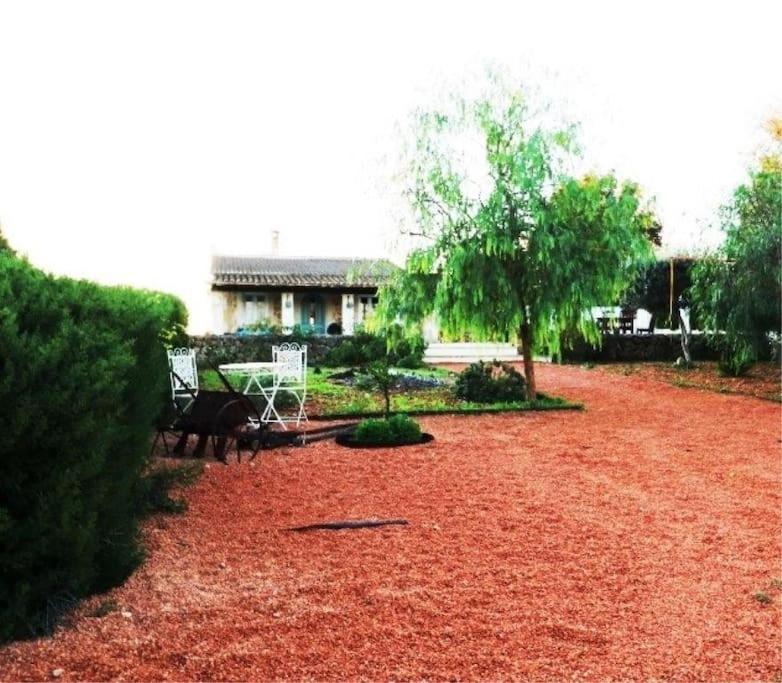 Magnifica Villa Tranquila En El Centro De Mallorca Biniali  Dış mekan fotoğraf