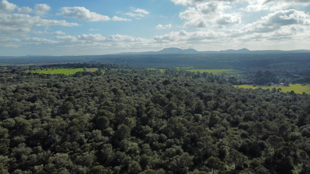 Magnifica Villa Tranquila En El Centro De Mallorca Biniali  Dış mekan fotoğraf